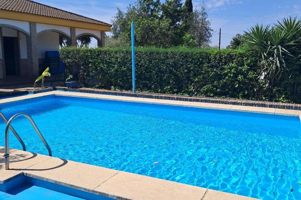 Casa Venus - Con Jardin Y Piscina Βίλα Alcalá de Guadaira Εξωτερικό φωτογραφία